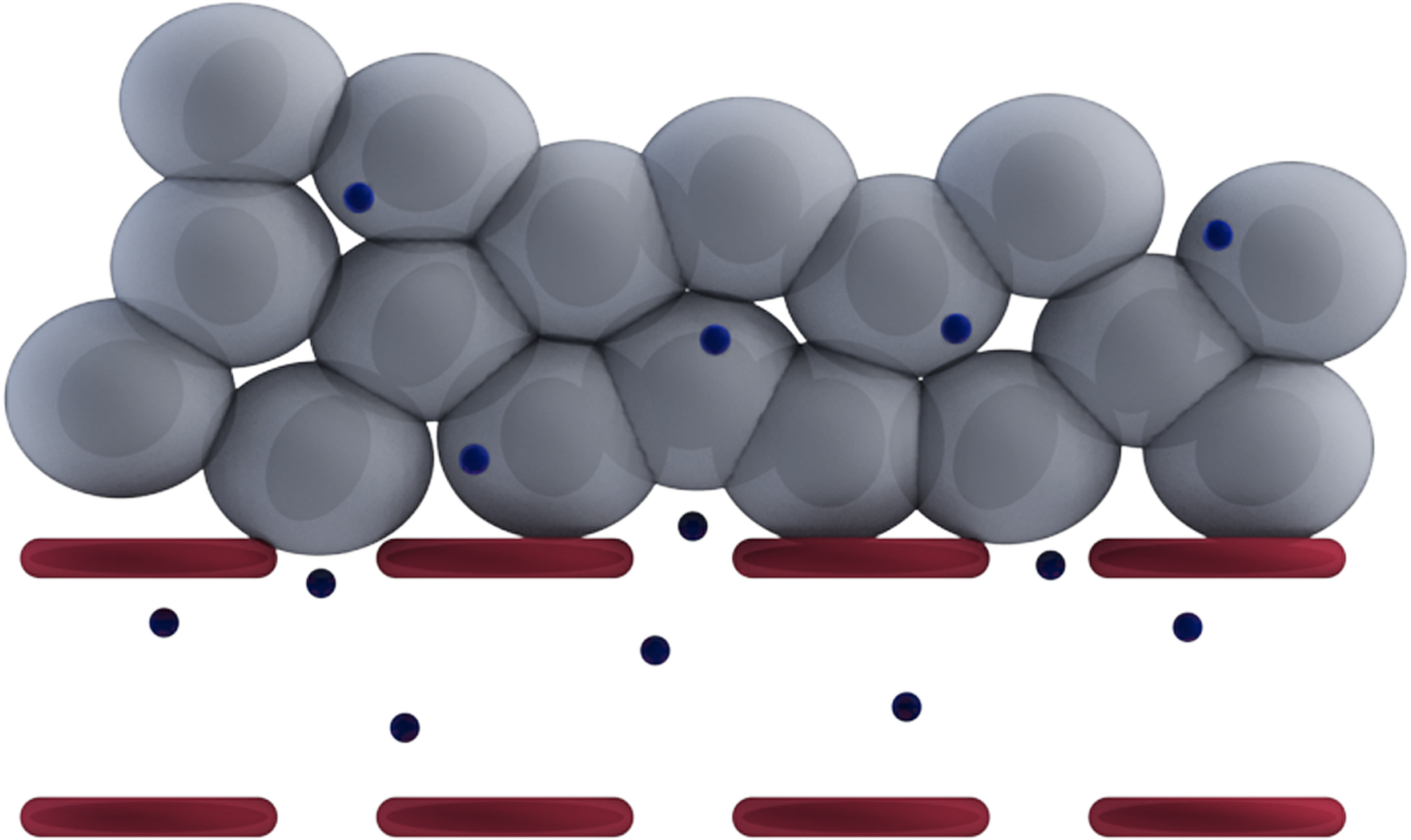 Tumor Tissue